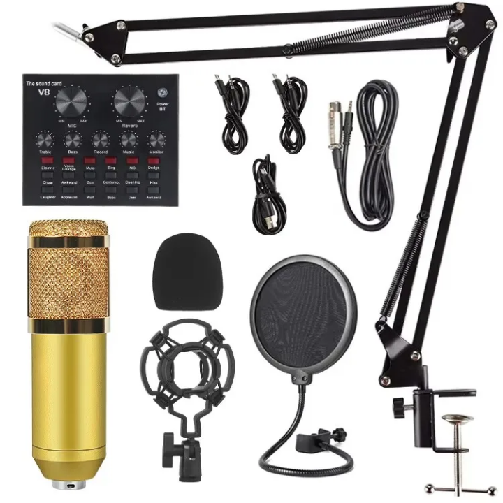 Kit Microphone à Condensateur et Carte Son pour Podcast, Micro USB BM800, Studio d'Enregistrement Live Karaoke