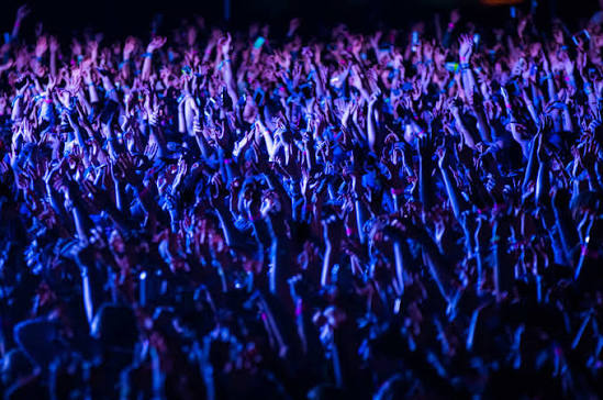 Ticket Standard - Accès Concert